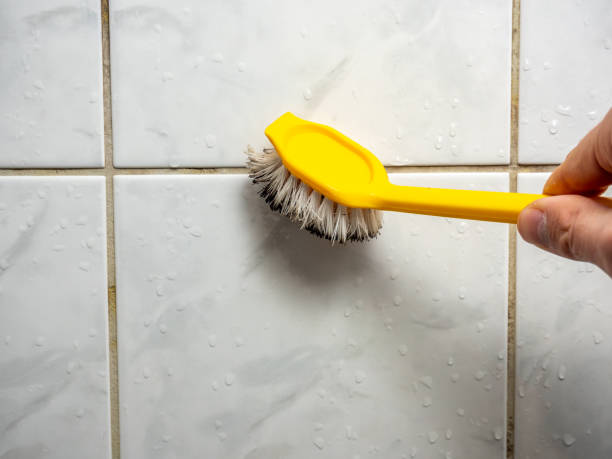 Best Fast Mold Removal  in Puxico, MO