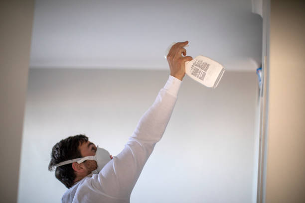 Best Office Mold Removal Services  in Puxico, MO