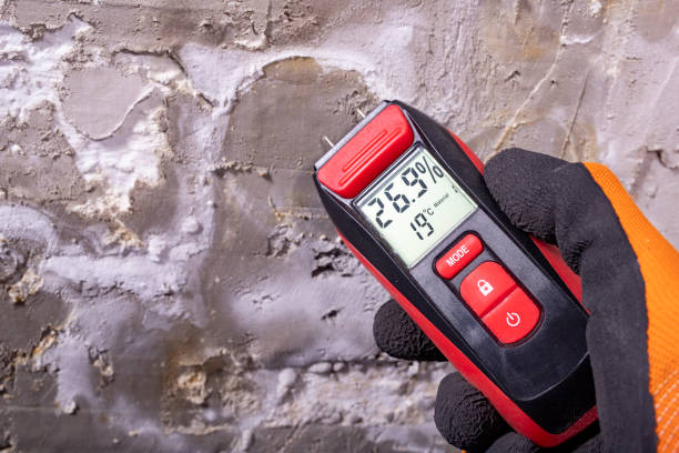 Best Water Damage Restoration  in Puxico, MO