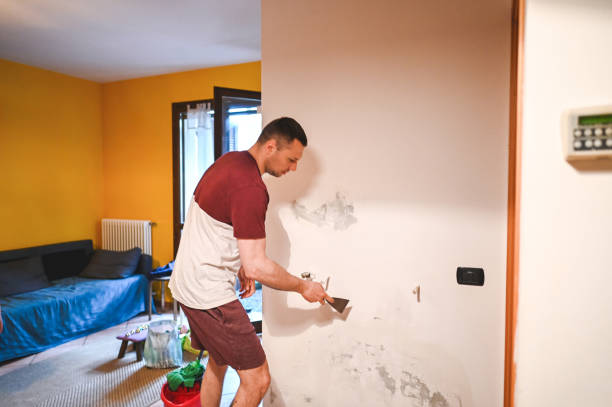 Best Mold Removal Process  in Puxico, MO